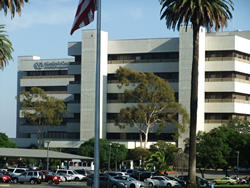 20130305_1_1.JPG